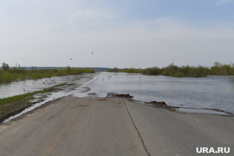 Вода отрезала от «большой земли» несколько населенных пунктов Абатского района