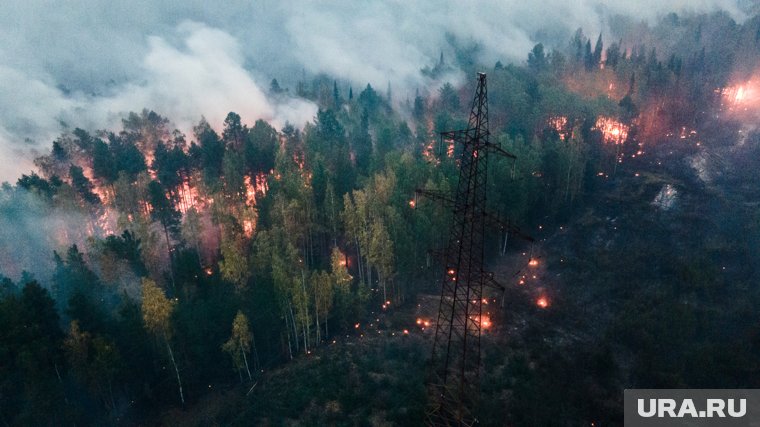 В ХМАО за сутки вдвое выросло количество лесных пожаров