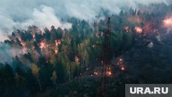 В ХМАО за сутки вдвое выросло количество лесных пожаров