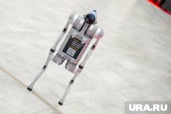 В рамках форума пройдут битвы роботов