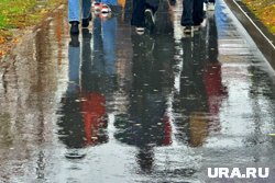 Дожди накроют Курганскую область