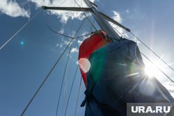 Сауэр получил серьезные травмы спины в результате крушения парусной яхты в Греции
