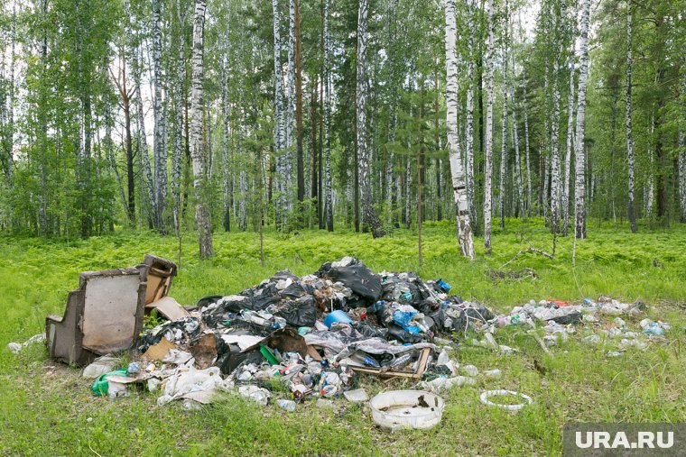 Мужчина устроил свалку отходов посреди леса (архивное фото)