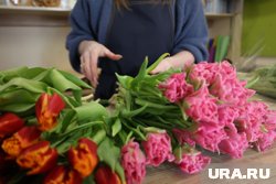 Спрос на цветы может увеличиться на 20% к 1 сентября
