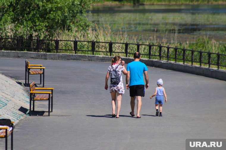 Курганцев ждет теплый, но пасмурный день без дождей