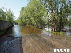 «Большая вода» вскоре полностью покинет Тюменскую область