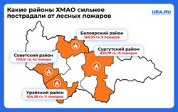 Районы, которые сильнее всего пострадали от лесных пожаров