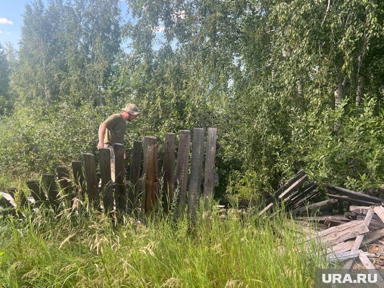 Мальчика ищут в лесах, полях, а также на болотах и водоемах 