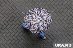 Выходные в регионе пройдут без дождей