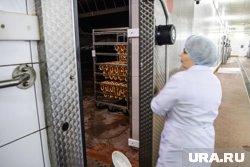 В Курганской области нашли мясо с подменой (архивное фото)