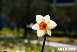 Пермяков заверили, что ждать осталось недолго