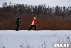 В конце февраля ожидается снег и сильный ветер