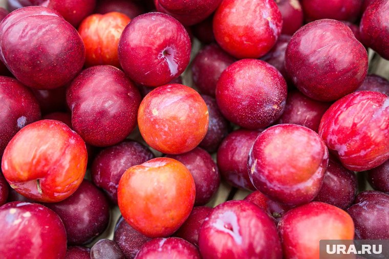Продукцию без документв везли из Киргизии
