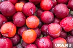 Продукцию без документв везли из Киргизии