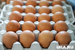 Десяток яиц подешевел до 89,43 рубля в среднем