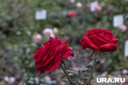 Стороны провели сделку по рыночной цене