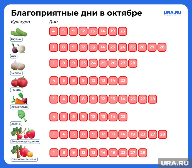 В октябре есть несколько удачных дней для посадки под зиму