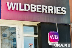 Про историю Wildberries хотят снять кино с бюджетом в 200 миллионов рублей