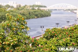 В Тюмени ожидаются кратковременные дожди