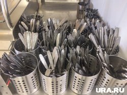 Пищеблок школы активно проверяют на наличие разносчика заболевания (архивное фото)