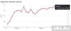 Средний чек онлайн-покупок в Курганской области превысил 2800 рублей