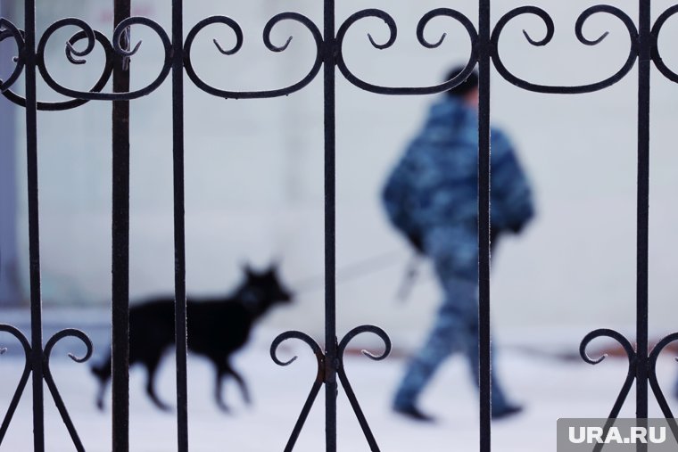 В Тамбовской области авто наехало на группу пешеходов, управлял им сотрудник вневедомственной охраны