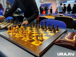 Занятия по шахматам в ЯНАО доступны онлайн