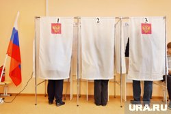 Досрочные выборы губернатора Курской области назначены на 14 сентября 