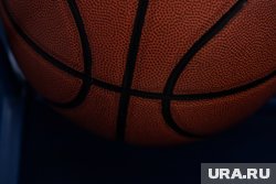 Баскетболиста Касаткина арестовали во Франции в аэропорту