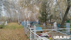 Кладбище находится на землях лесного фонда