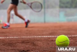 Хозяева могут играть в теннис не выходя из дома