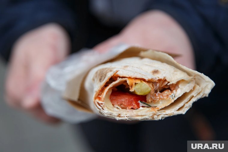 В мясе и соусе, из которых готовили шаурму, нашли сальмонеллу и другие бактерии