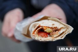 В мясе и соусе, из которых готовили шаурму, нашли сальмонеллу и другие бактерии