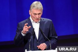 Россия приветсвует усилия всех стран, помогающих с урегулированием конфликта на Украине, заявил Дмитрий Песков