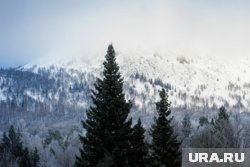 Чтобы выжить во время схода лавины, необходимо скинуть тяжелые вещи и принять компактное положение