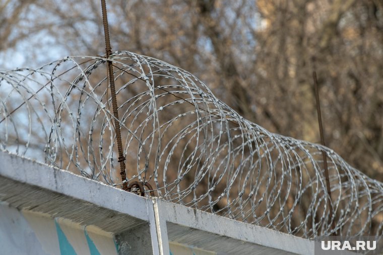 Исправительное учреждение строгого режима соседствует с колонией «Белый лебедь»