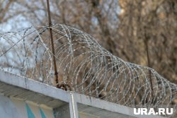 Исправительное учреждение строгого режима соседствует с колонией «Белый лебедь»