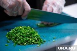 Депутаты думы ХМАО поделились необычными рецептами блюд