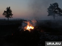 Под Ростовом замечены полевые пожары