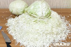 Приготовить квашеную капусту самостоятельно обойдется в пять раз дешевле, чем покупка 