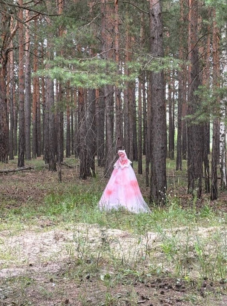 Тюменцы испугались окровавленного чучела в леу