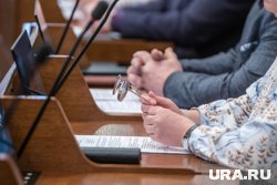 Депутаты проголосовали за присвоение звания Александру Корякину 