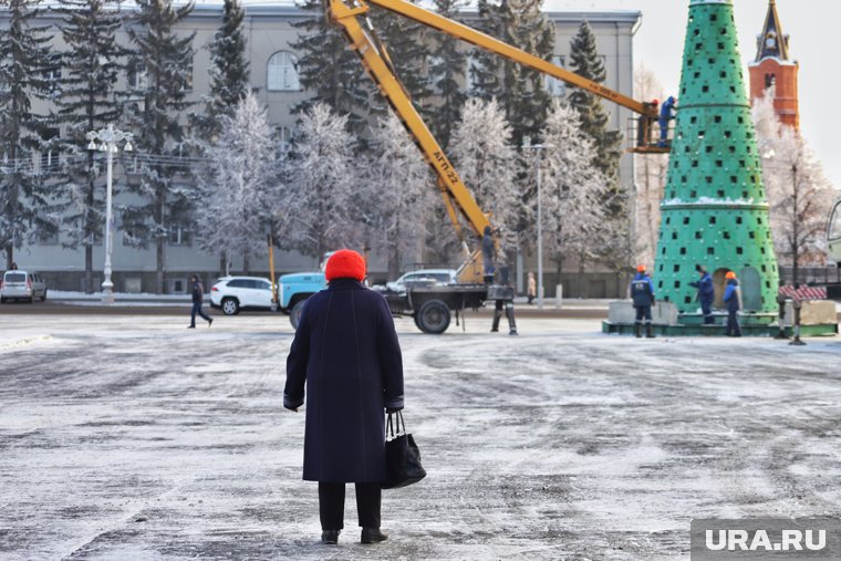 В Кургане начали собирать елку на Новый год