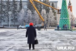 В Кургане начали собирать елку на Новый год