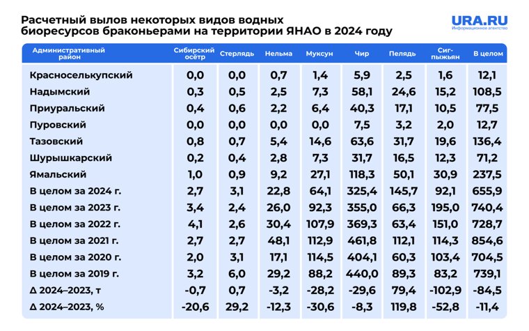 Всего нелегальная добыча составила в 2024 году на Ямале 655,9 тонны. В предыдущие годы эти показатели были выше.