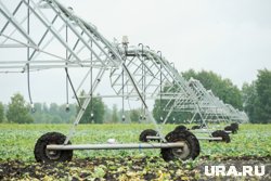 В Варгашинском округе нашли нарушения на участках, выделенных под мелиорацию