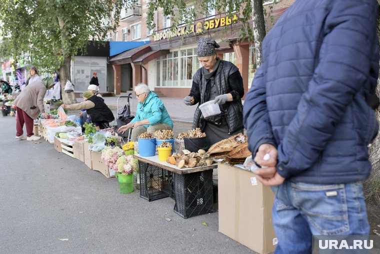 Вот в такой ряд дачники выстраивают свои импровизированные прилавки. Здесь можно найти как овощи и фрукты с огорода, так и грибы из леса