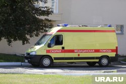 Девять человек погибли в результате стрельбы