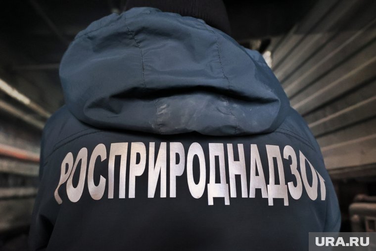 Государственная структура взыскивает с «Уватнефтегаза» нанесенный природе ущерб