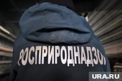 Государственная структура взыскивает с «Уватнефтегаза» нанесенный природе ущерб